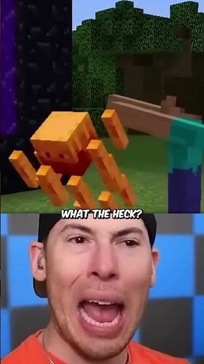 FUNNIEST Minecraft MEMES