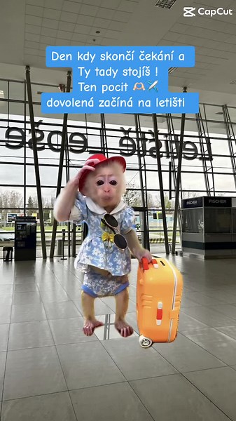 Zábavné letištní vybavení: Duty free, kavárny a dětské koutky