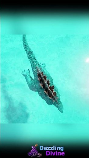 Colossal Megalodon swims near Godzilla #monsterverse #godzilla