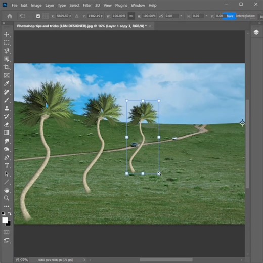 214K views · 1.6K reactions | How to create Palm tree and easy to...