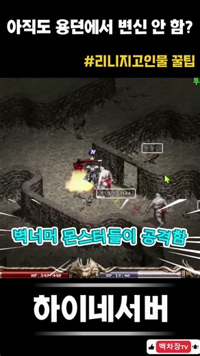 "아직도 용던에서 변신안함?" 리니지 고인물 꿀팁 | 백차장TV 리니지클래식 하이네서버 라이브 방송#리니지클래식 #리니지 #하이네 #백차장tv #용던매너 #리니지초보 #리니지매너