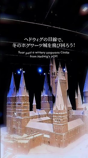 ヘドウィグ目線を楽しんでください🦉✨