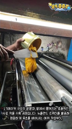 숙련된 인쇄공의 정교한 잉크 도포 작업 #worker #process #factory #offset #machinery