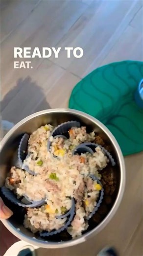 Simple recipe for making ground turkey dog food using an Instant Pot! 🐶 #dogfoodrecipe #puppyhealth