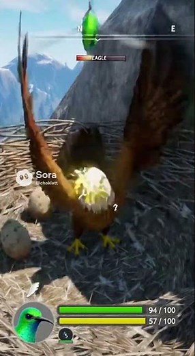 Bird Game 3 Hummingbird #aianimals #soraai #aicomedy