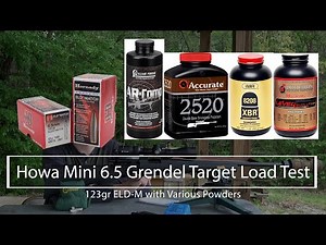 Howa Mini 6.5 Grendel Target Load Test