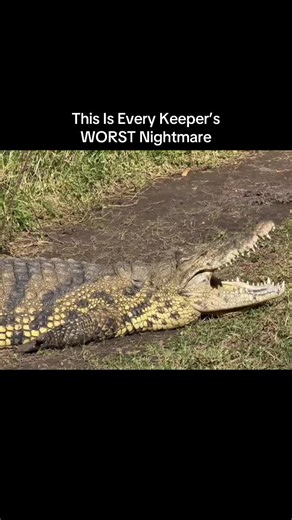 This Is Every Keeper’s WORST Nightmare. Part1 | players worst nightmare