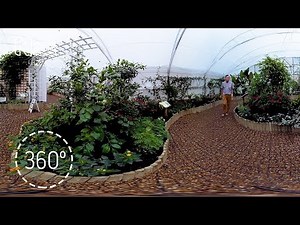 Tropical butterfly house 360 tour | Sensational Butterflies | Natural History Museum