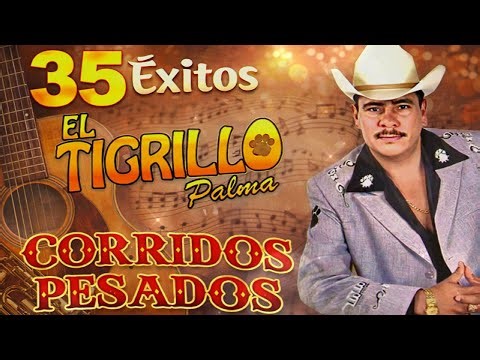 🎶 El Tigrillo Palma 🕺Corridos Perrones de Pura Calidad 💯 ¡Grandes Éxitos!