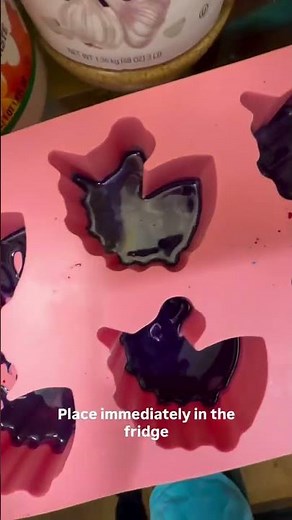 Igneous Rock Experiment