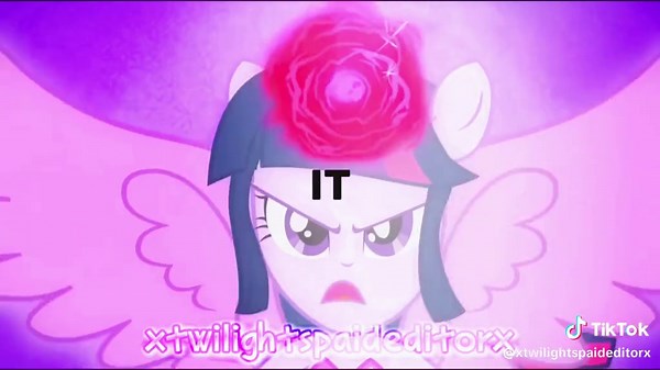 Exploring the Love for MLP Edits and Trends
