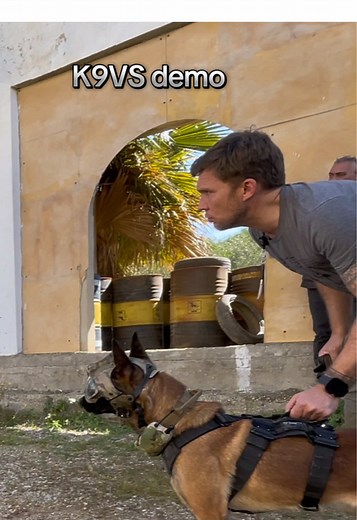 Discover the K9 Vision System for Effective Dog Training