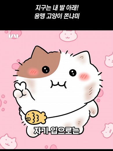 우주 최강 고양이 쫀냐미의 모험