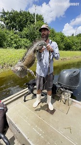 3.5M views · 28K reactions | These boys got a monster iguana! This invasive iguana was so big Otto could barely carry it! | Python Cowboy Hunts | Facebook