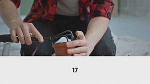 Growing Potatoes In Containers & Pots