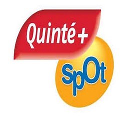 Quinté spot : Comment cela fonctionne et comment placez un pari spot?