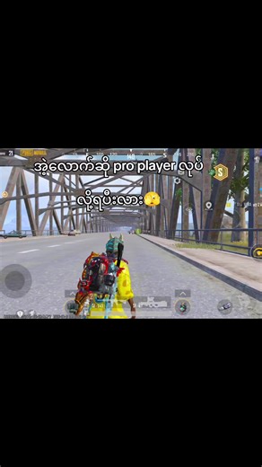 PUBG Mobile Pro Player Challenge