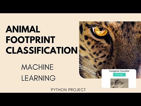 WildTrackAI- Computer Vision to Animal Footprint Classification | Machine Learning Projects