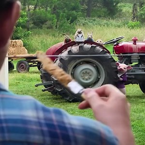 Best Movies HD | Symbol & Screen