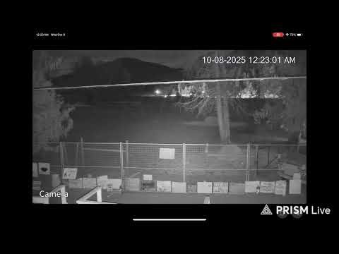 Live streaming of Universal Ostrich Farm