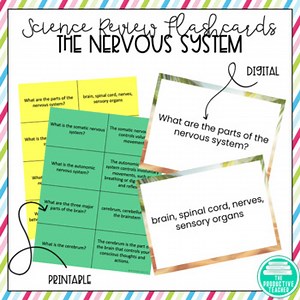 The Nervous System Flashcards