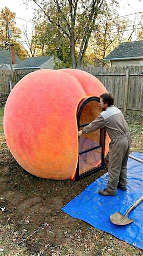Turning a Giant Peach into a Cozy Room🍑