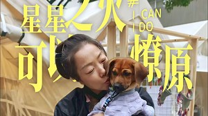 星星之火🔥可以燎原-AMY姐的救助之路