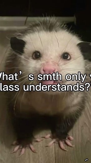 explanation at 25 likes!? #opossum #oopsie #clay #school #class #haha #friends #lol #snake #clash