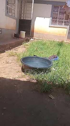 Leon Noel (@leon.noel09)’s videos with original sound - DJ S.L Remix