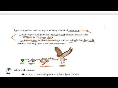 Grade 9 Science – Biology Demo Lesson