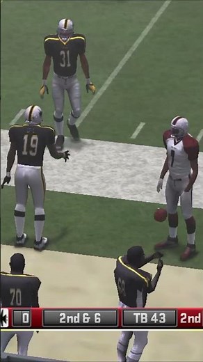 Unbelievable Touchdown by Tony Martin | All-Pro Football 2K8 Highlights!