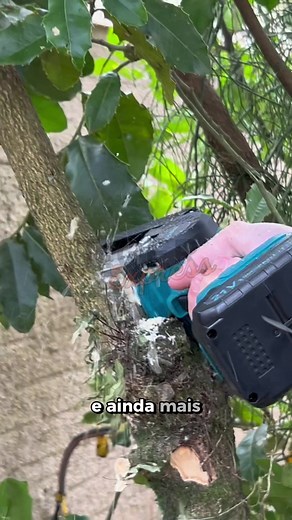 A MaxCut é a escolha perfeita!🫢