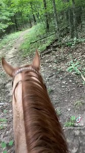 1.7K views · 164 reactions | Peaceful Easy Feeling Boone & Kyle enjoying some trail riding! | Diamond A Horses & Ponies | Facebook