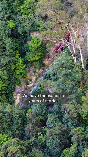 Bimbiigang! Experience an Indigenous guided tour on Gundungurra Country at Scenic World. 150 minutes of immersive education, rides and fun. | Scenic World Blue Mountains