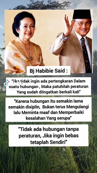 Aesthetic Vibes Compilation for Creative Minds