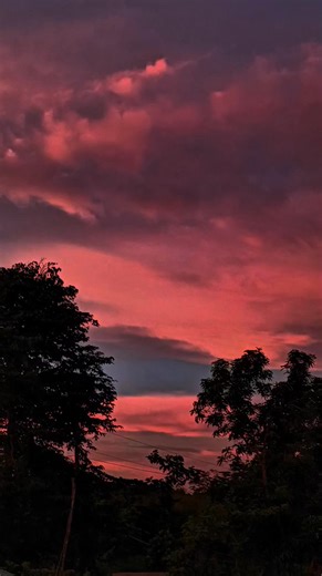 14K views · 444 reactions | Loyalty #fblifestyle | Love Quotes | Facebook