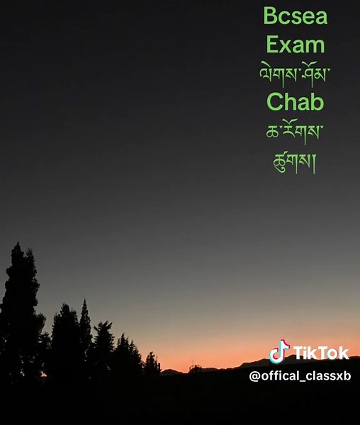 ང་བཅས་ཀྱིས་འབད་ཚུགས། 💪🏼. #wecandoit #bcsea #exam #fy #bhutanesemuser