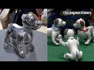 Aibo fan meeting at Ginza Sony Park