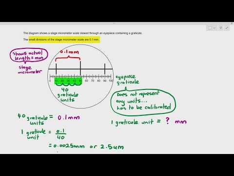 Past Paper Questions 1-4: Microscopy, Calibration of Eyepiece Graticule