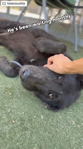 2.5K views · 188 reactions | We are very sad to report that Sam did...