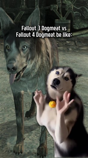 Fallout 3 Dogmeat vs Fallout 4 Dogmeat . . . . . #fallout #fallout3 #fallout2 #fallout4 #fallout76 #falloutcommunity #falloutnewvegas #falloutnv #newvegas #falloutmemes | Captbaguette