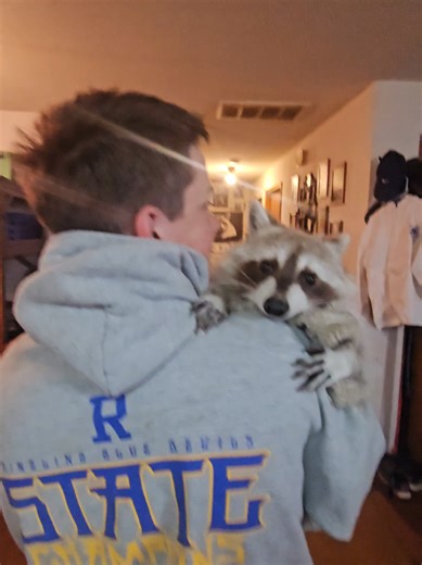 Baby Bodey🦝 loves his Danny Welch❤️ 02-06-26 @Danny Welch @richiegandy7