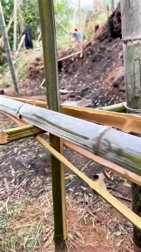 Can Bamboo Build a Slide? Watch How They Use Natural Materials for an Adventure!
