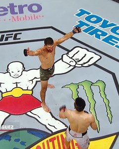 852K views · 21K reactions | Top 10 KOs From The Rafters In UFC History More MMA action  UFC Fight Pass | UFC | Facebook