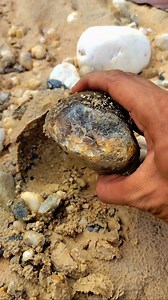 9K views · 105 reactions | I found crystal brown Chalcedony rare stone #gemstones #agate #diamond #jade #crystal #petrifiedwood #fyp #fypreels | Rimba Story | Facebook