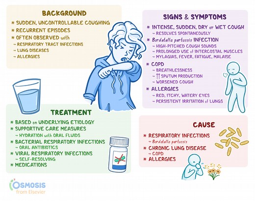 Paroxysmal Cough: What It Is, Causes, Signs and Symptoms, Diagnosis | Osmosis