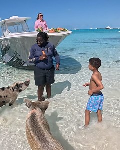 7K views · 4 comments | David Johnson on Reels | Facebook