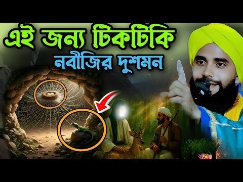 এইজন্য টিকটিকি নবীজির দুশমন┋mawlana Abdul ahad gojol┋abdul ahad jalsa┋bangla waz┋bangla jalsa