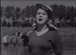 I tempi delle mondine “Riso amaro”di Giuseppe De Santis, 1949. Il #21aprile 1930 nasceva #SilvanaMangano. Sex symbol tra le "maggiorate", la più raffinata e aristocratica diva del nostro cinema, moglie di Dino De Laurentiis. Indole complessa, malinconica, passava dalle risaie (Riso amaro) a Hollywood (Mambo). Fu musa di Pasolini e Visconti. | Spazio Folk