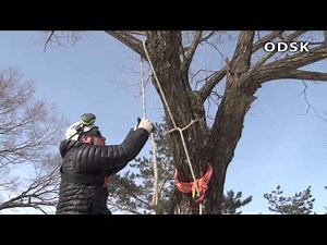 リギングシステムの基本 (Basics of Rigging System)